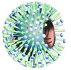 Grippe-Virus