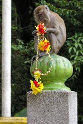 Batu Caves