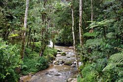 Parit Falls