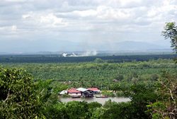 Kuala Selangor