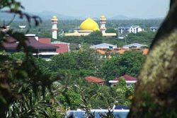 Kuala Selangor